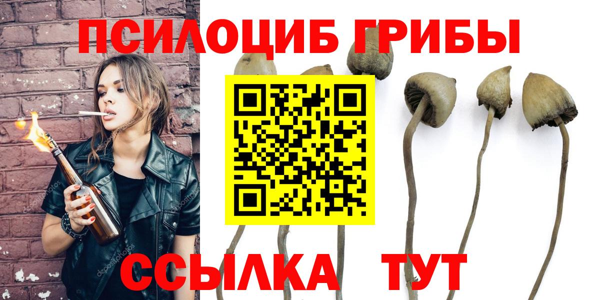Псилоцибиновые грибы Psilocybine cubensis  как найти наркотики  Вход с VPN  Волоколамск  Галлюциногенные грибы MAGIC MUSHROOMS 