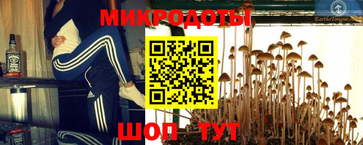Псилоцибиновые грибы GOLDEN TEACHER Волоколамск